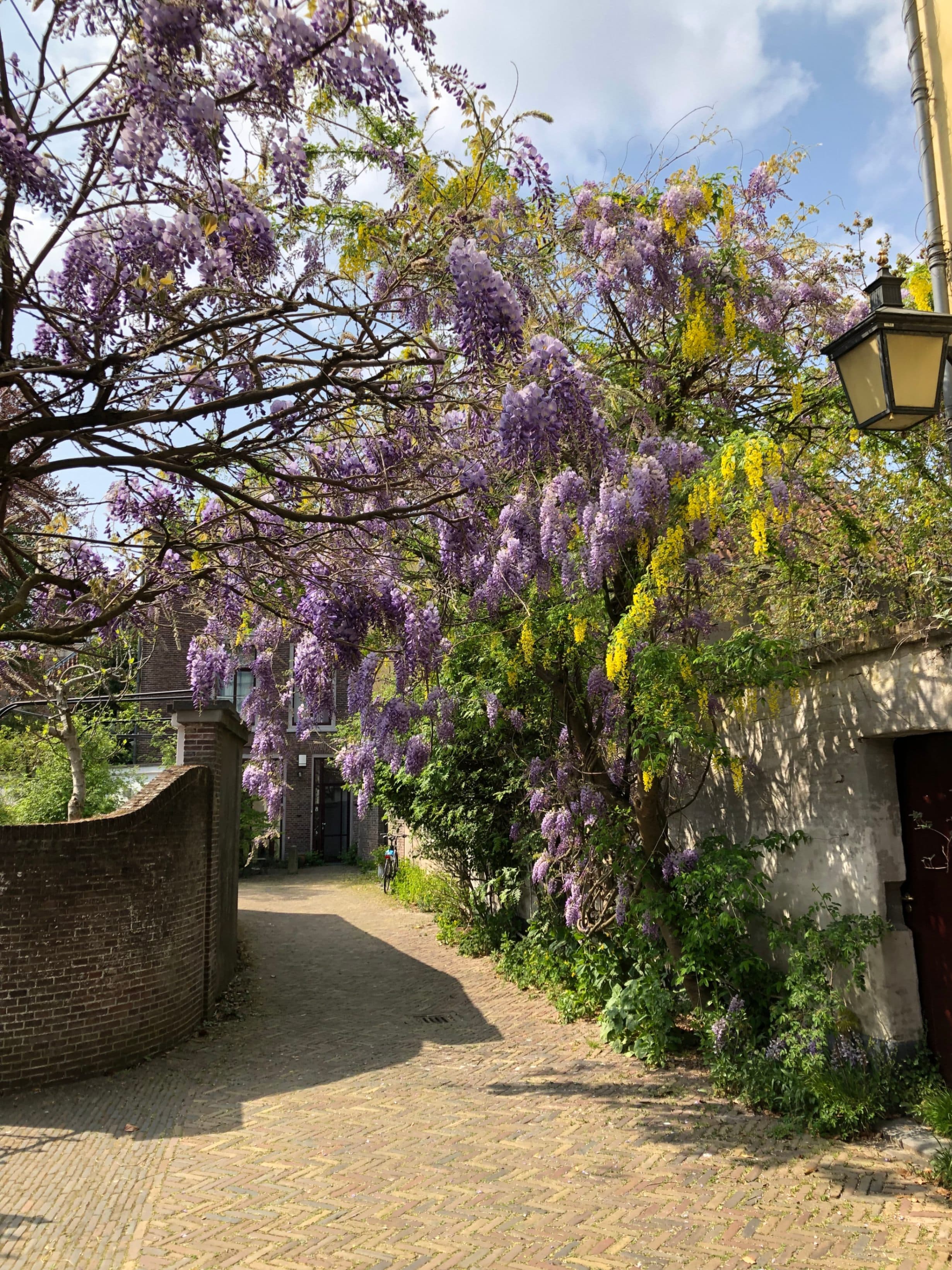 GLUE Utrecht participant Gertruud Dentjens, image number 3